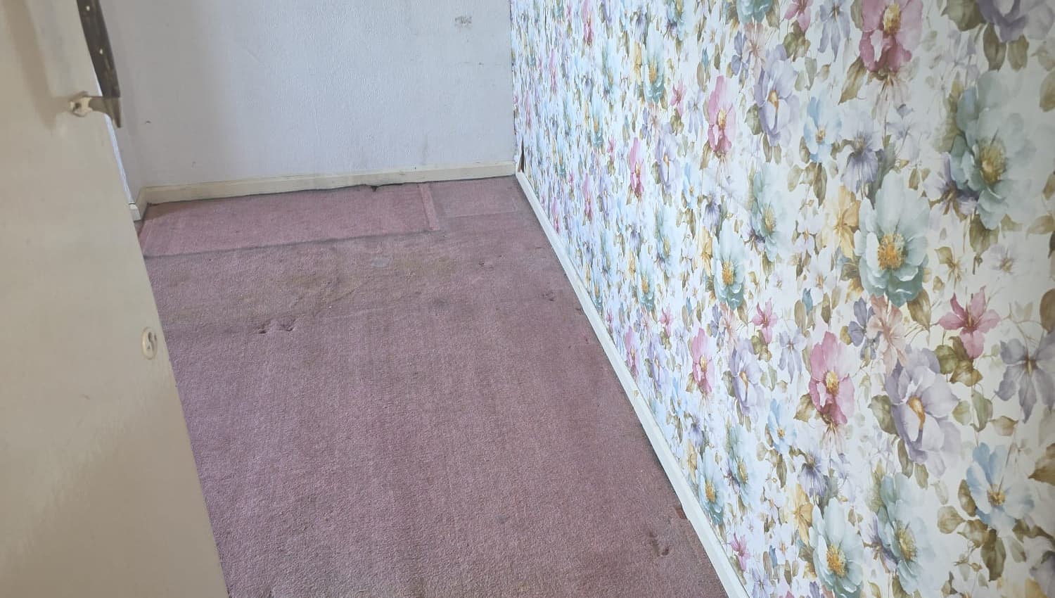 An empty bedroom with pink carpet and floral wallpaper after a clearance